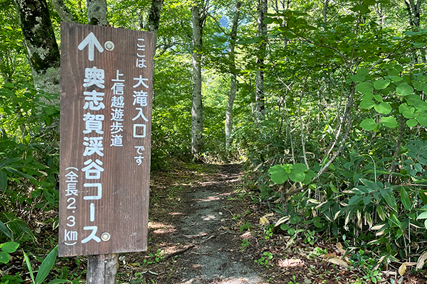 大滝入口・駐車場のイメージ1