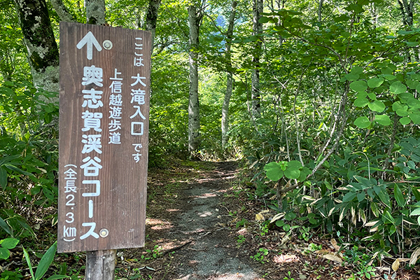 大滝入口・駐車場のイメージ1