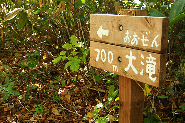 分かれ道のイメージ1