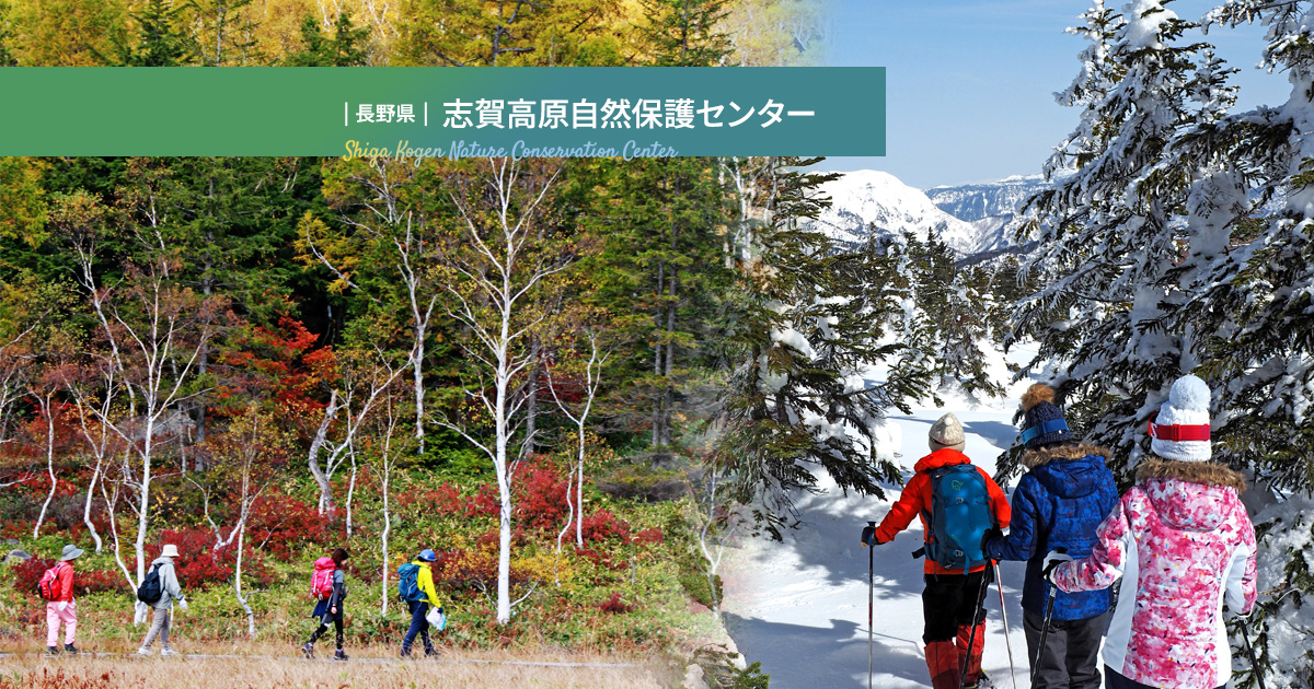 `${guide.title}のイメージ`